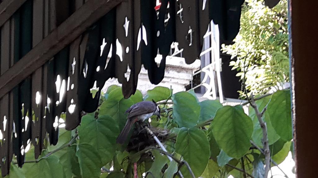 Hom Baan Chiang Mai Hotel Exterior foto